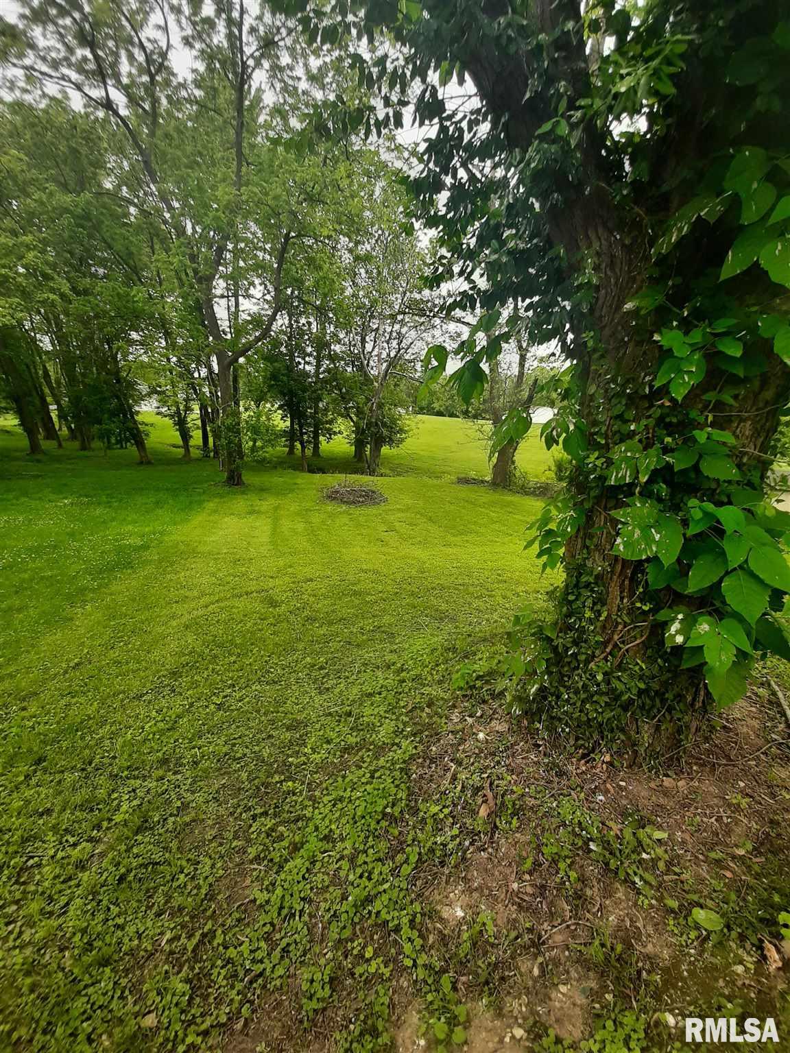 201 George Street Anna, IL 62906 - Photo 4 of 24 Gallery Image 4