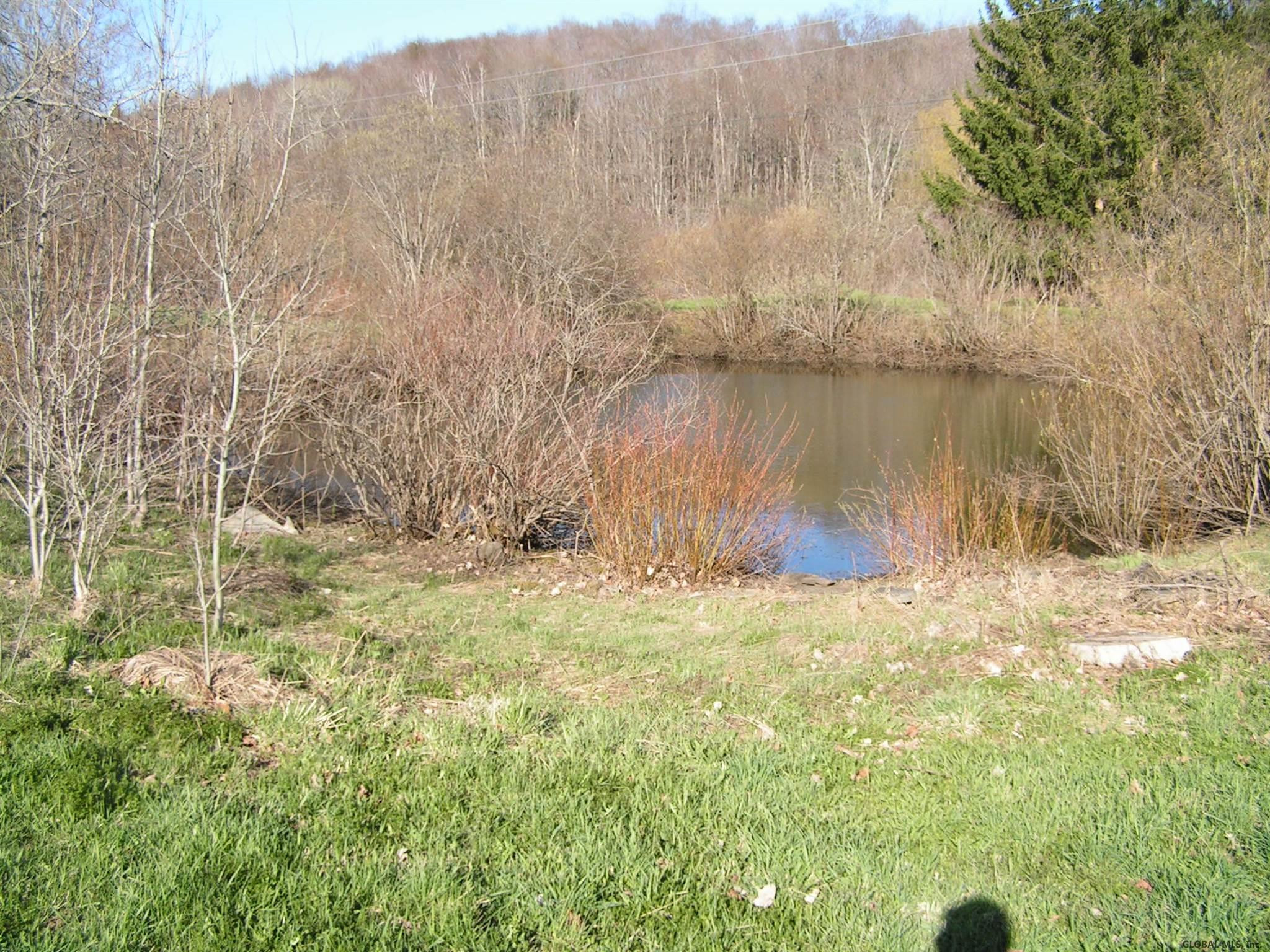 628 County Road 38 Decatur, NY 12197 - Photo 11 of 28 Photo 12