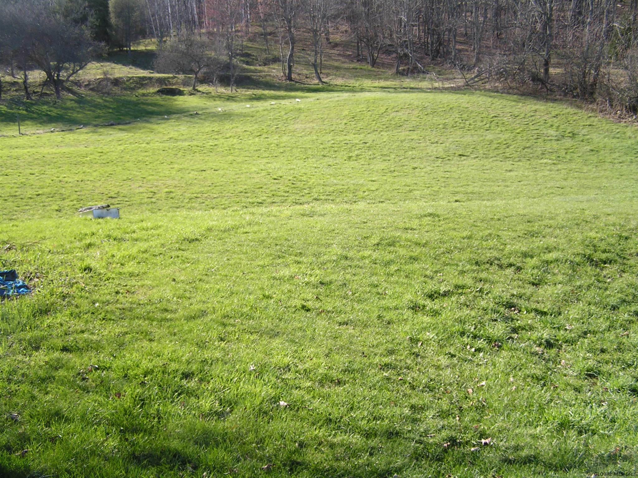 628 County Road 38 Decatur, NY 12197 - Photo 23 of 28 Photo 24