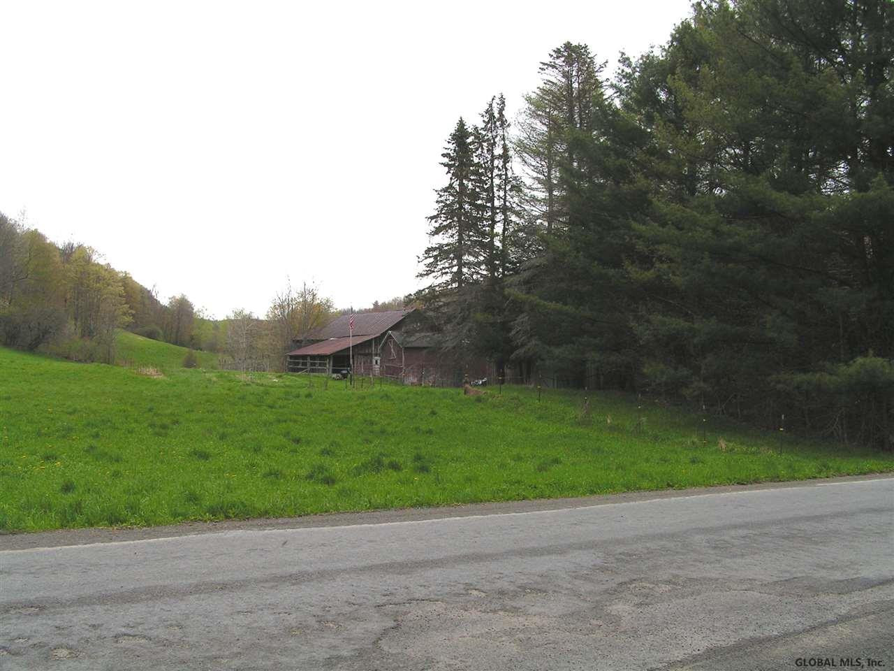 628 County Road 38 Decatur, NY 12197 - Photo 24 of 28 Photo 25