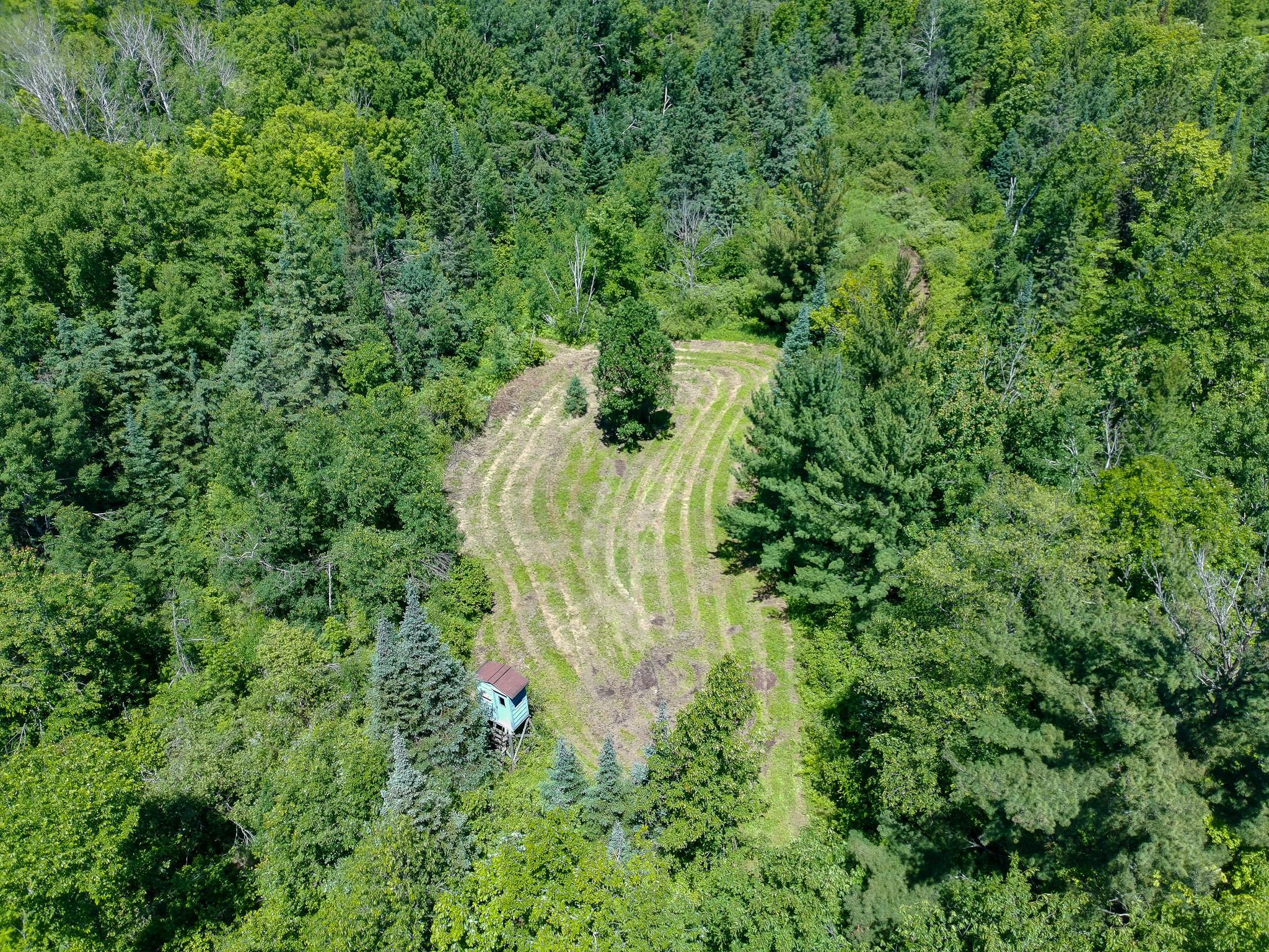 Tbd Oak Leaf Road Kerrick, MN 55756 - Photo 11 of 19