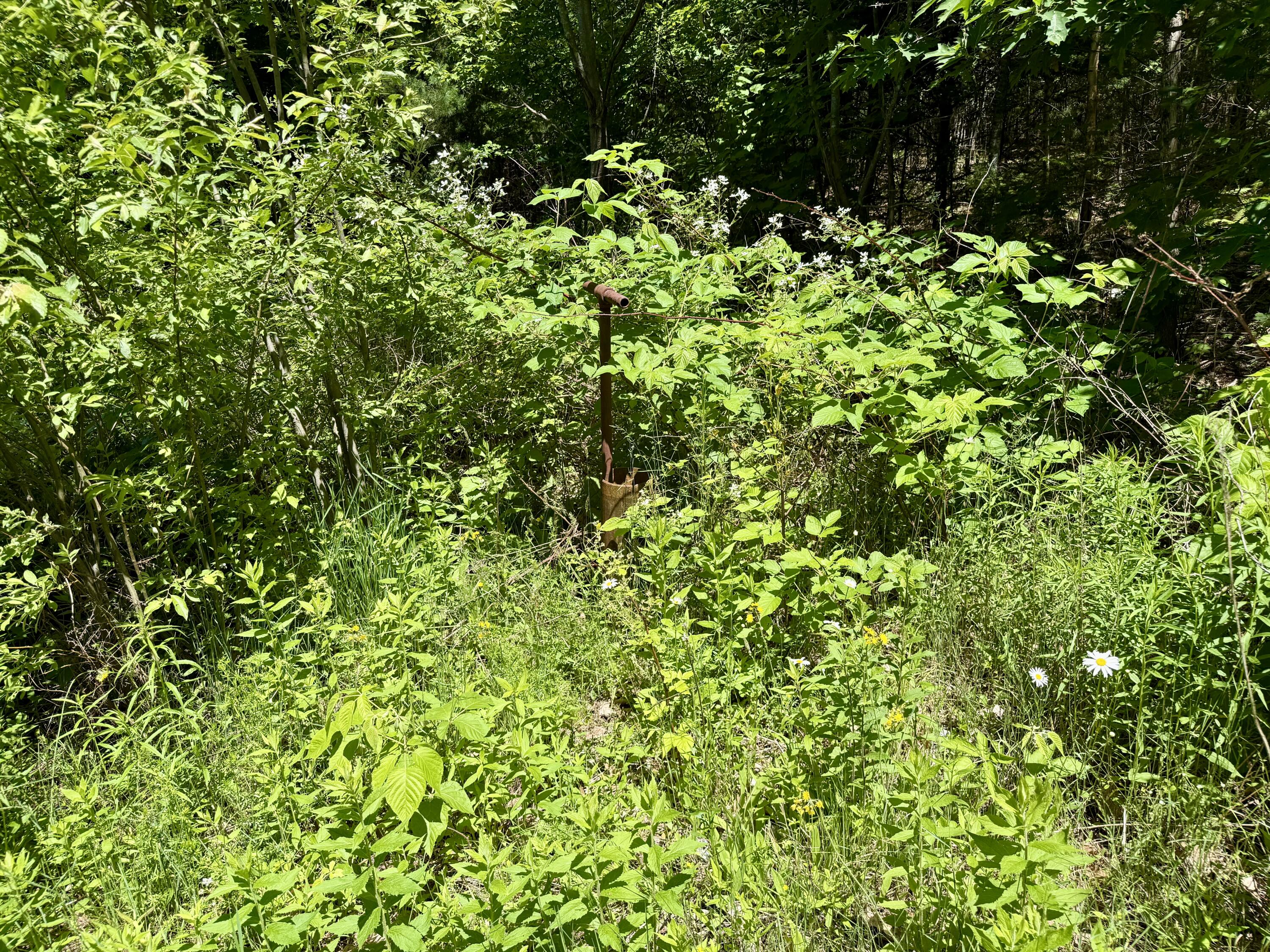 390 Upper Long Pond Road Bucksport, ME 04416 - Photo 15 of 19 IMG_5164