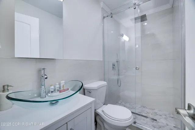 a bathroom with a shower and a toilet