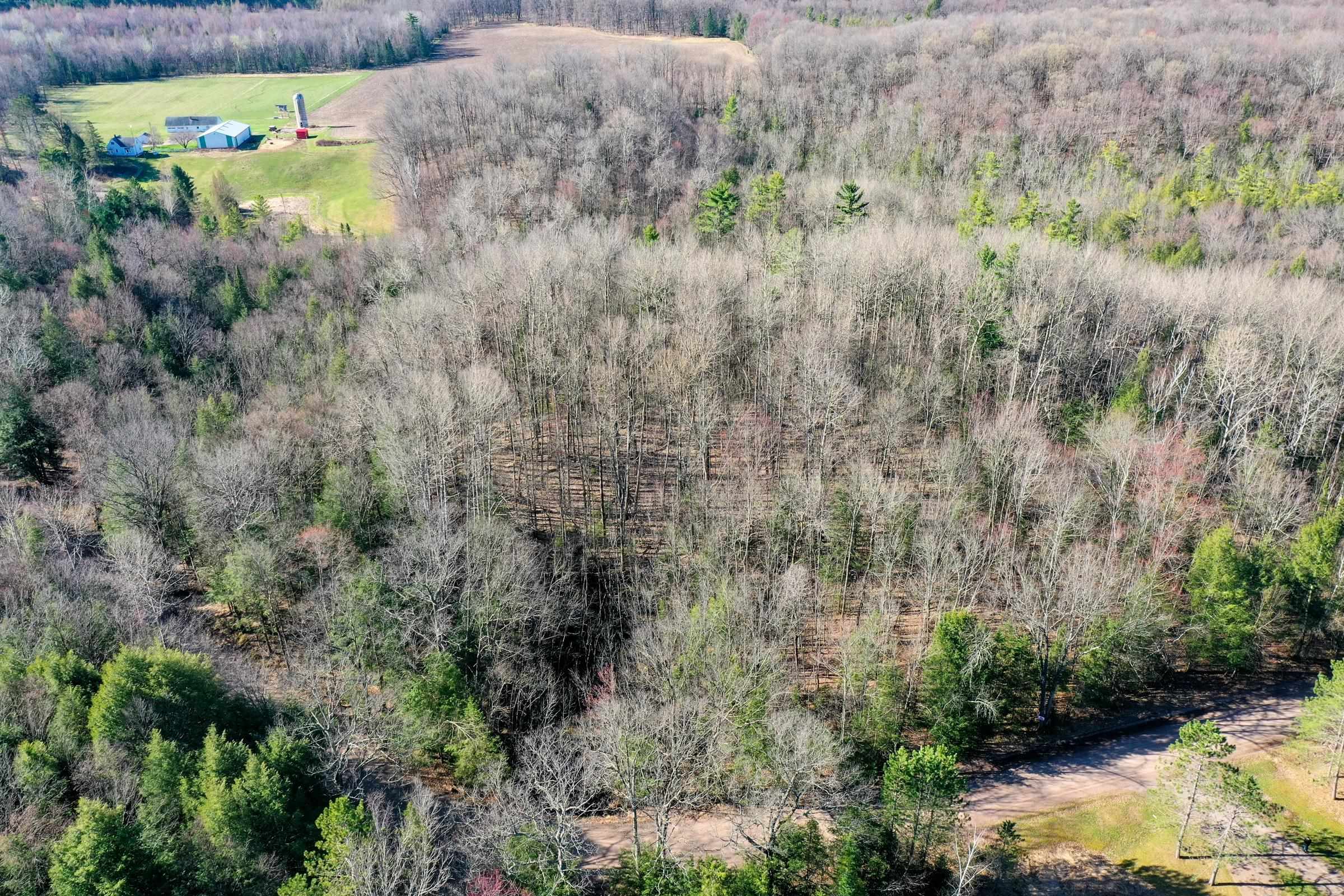 5-acres Salem Lake Road Medford, WI 54451 - Photo 3 of 10