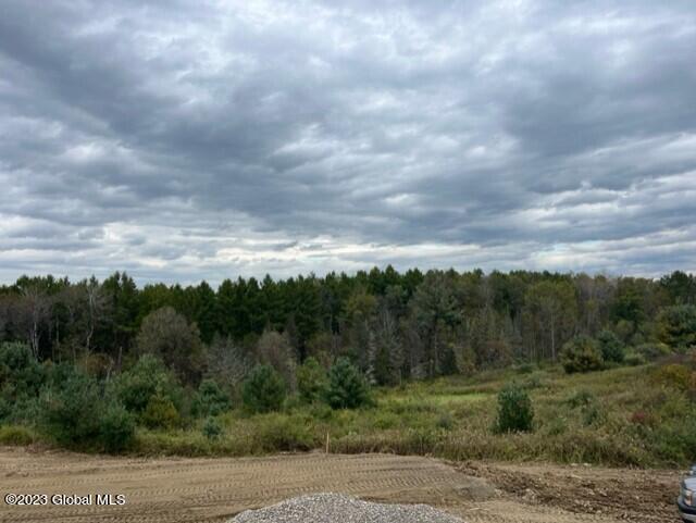 240 Marpe Road Pittstown, NY 12094 - Photo 12 of 17 privacy
