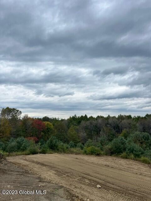 240 Marpe Road Pittstown, NY 12094 - Photo 10 of 17 privacy 3