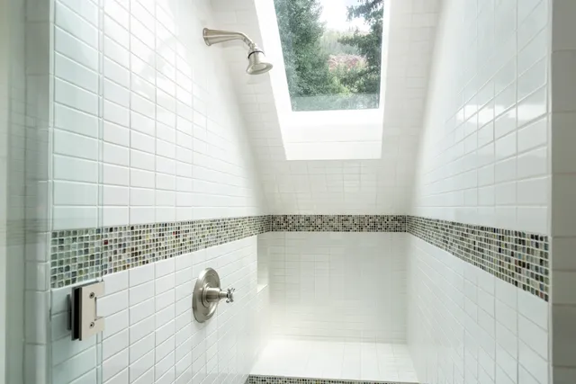 $8,850,000 | 545 West Columbia Avenue, Telluride, CO 81435