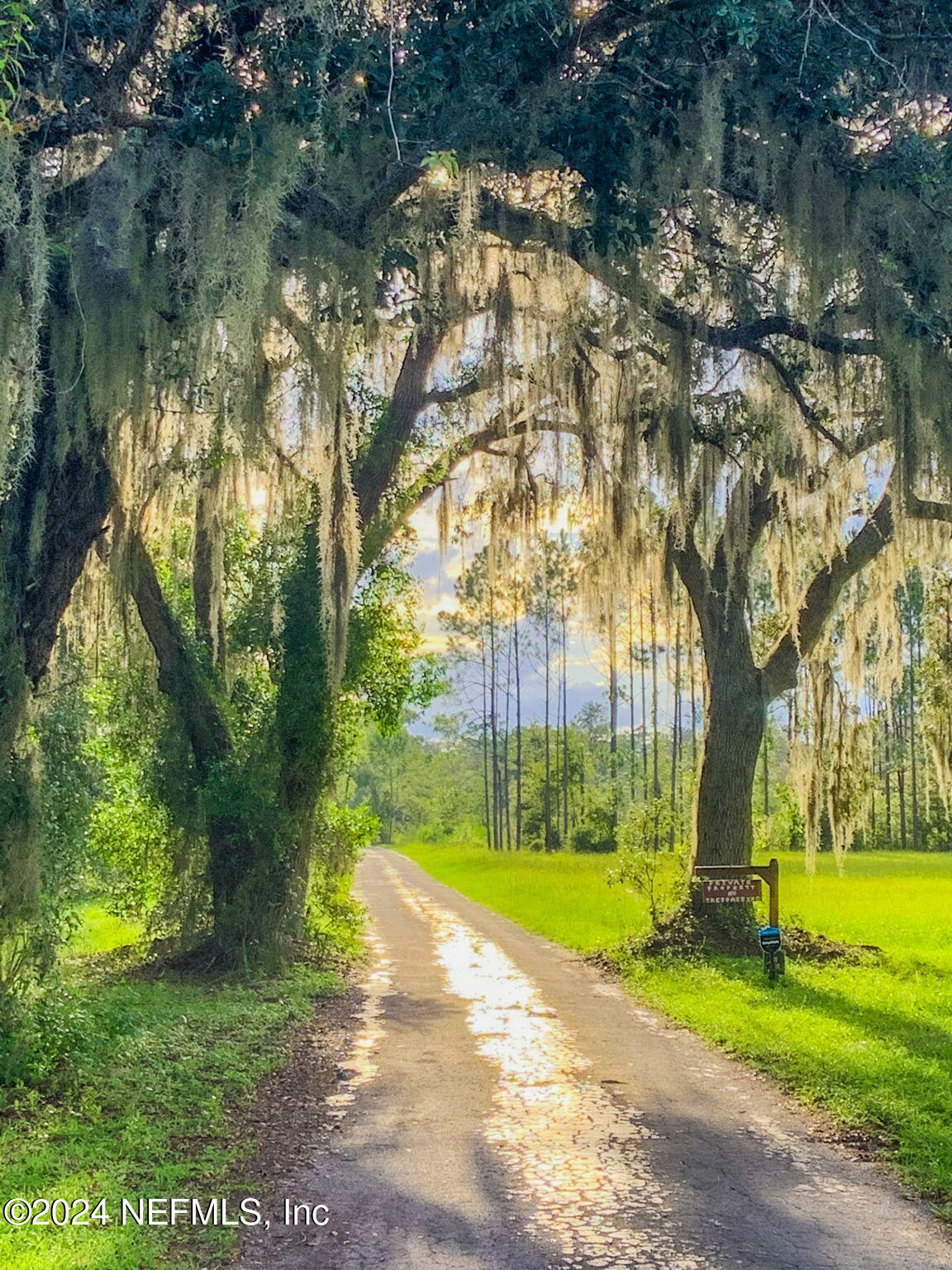 115 Key Road Palatka, FL 32177 - Photo 2 of 62 ISO Perfect 115 Key Rd Palatka FL 062