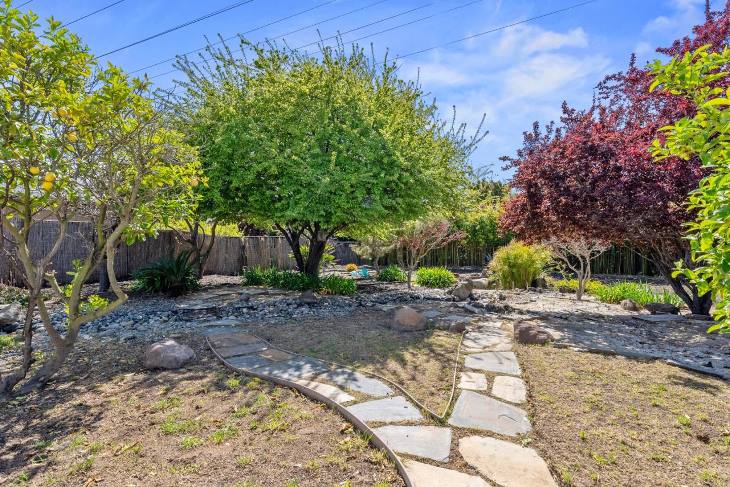 4624 Fuller Street Santa Clara, CA 95054 - Photo 24 of 26 a view of a backyard with large trees