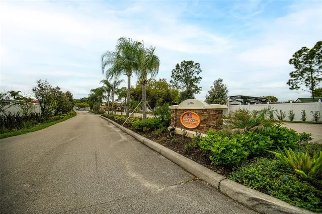 a view of a street with a large trees all around