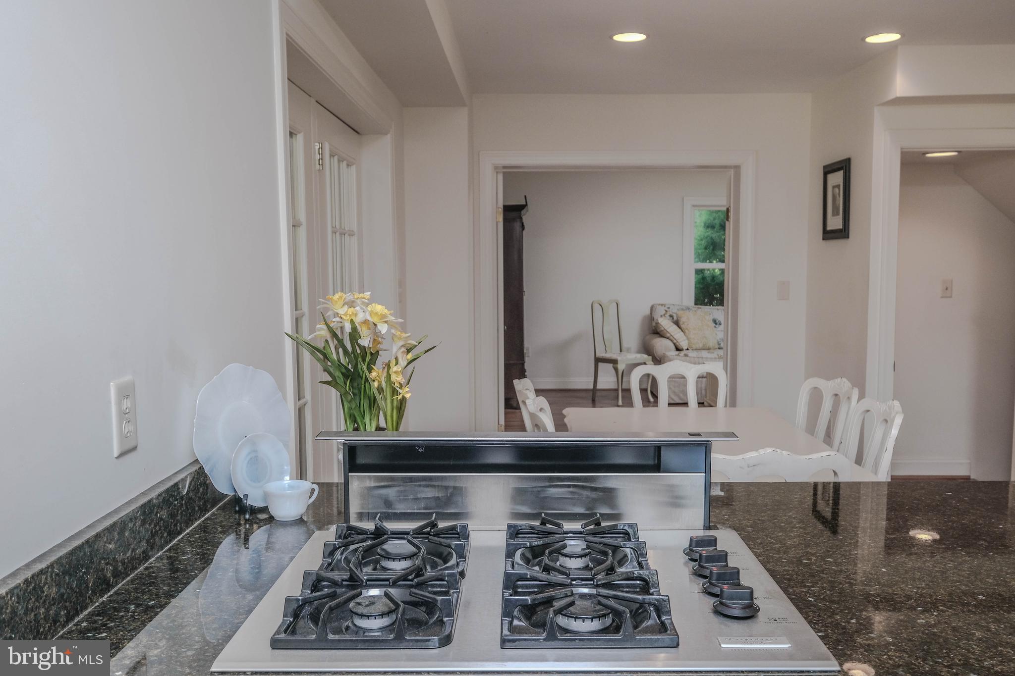 1143 West Ridge Street Harpers Ferry, WV 25425 - Photo 25 of 62