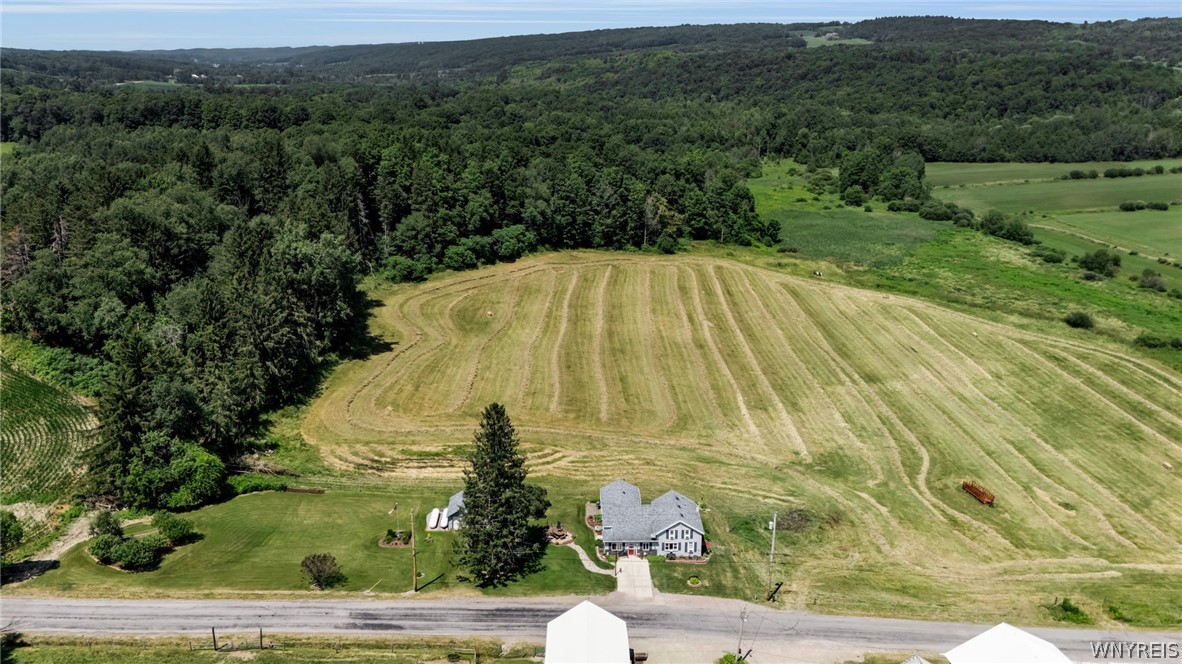 1957 Schwab Road Sheldon, NY 14167 - Photo 49 of 50 Beautiful Land!