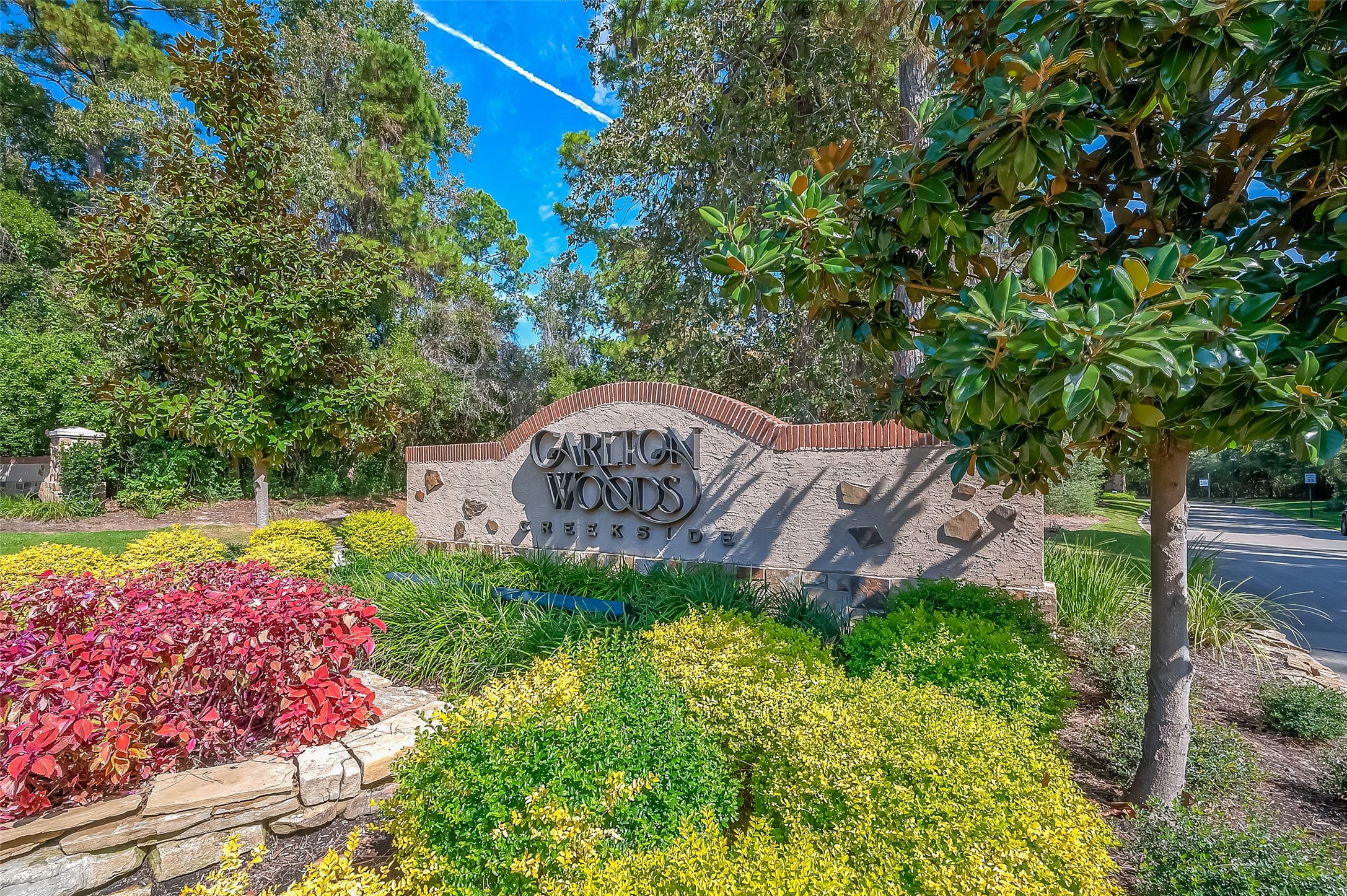 39 Pronghorn Place Spring, TX 77389 - Photo 1 of 39 a backyard of a house with lots of green space
