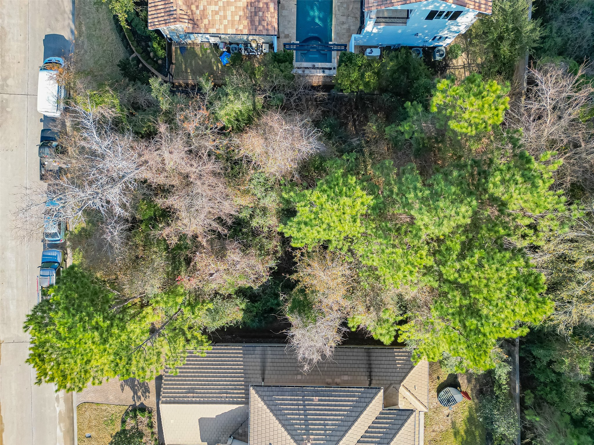 39 Pronghorn Place Spring, TX 77389 - Photo 14 of 39 a view of a garden with plants and large trees
