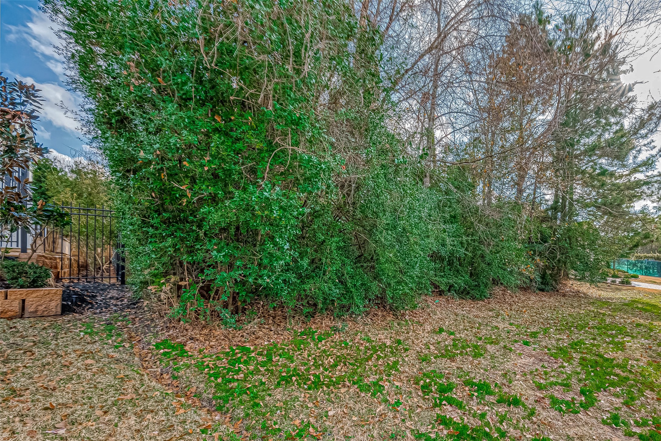 39 Pronghorn Place Spring, TX 77389 - Photo 18 of 39 a view of a yard with plants and wooden fence