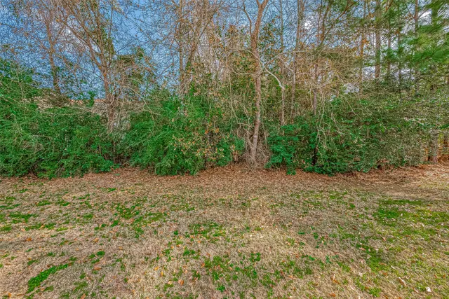 a view of backyard with green space