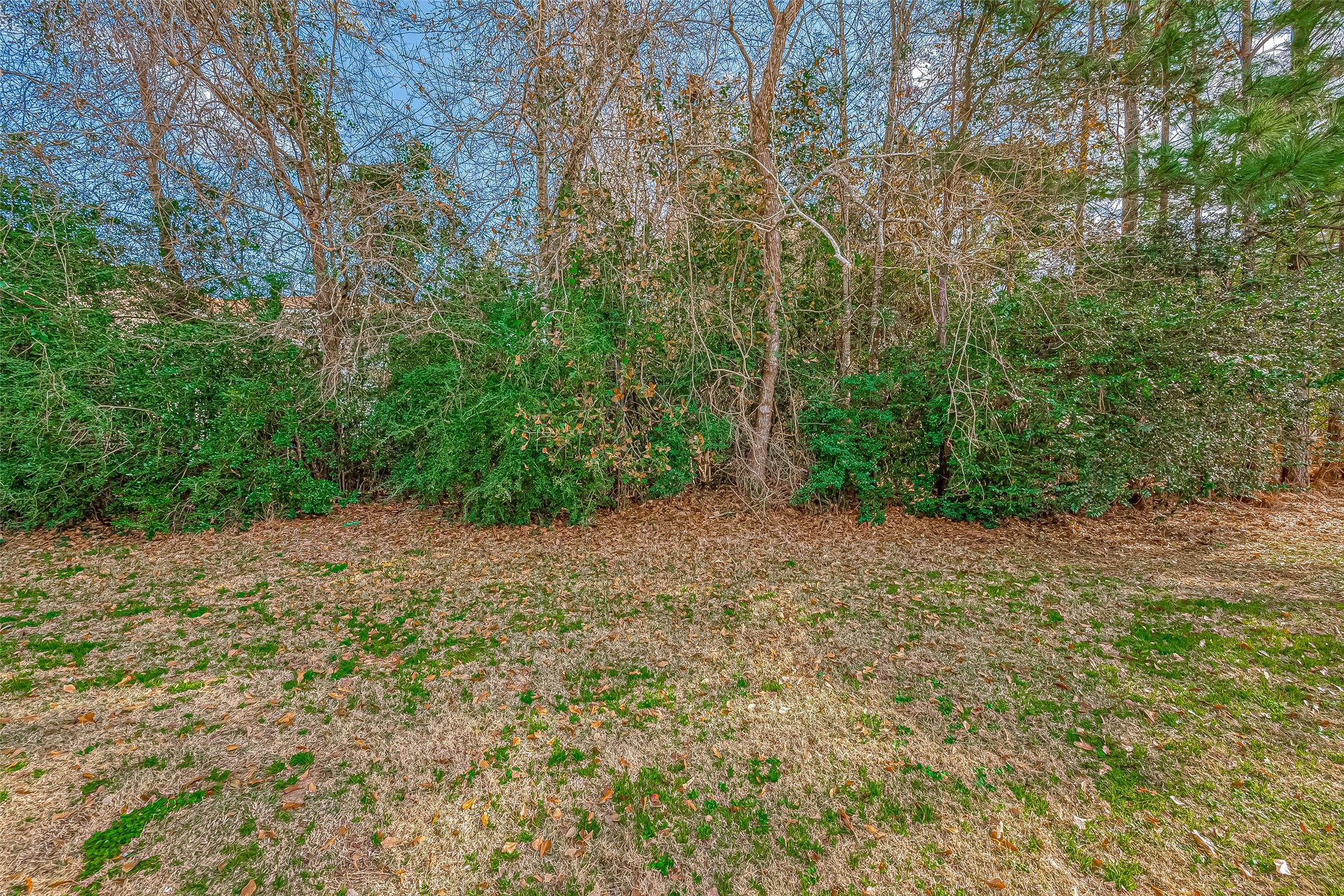 39 Pronghorn Place Spring, TX 77389 - Photo 19 of 39 a view of a yard with a tree