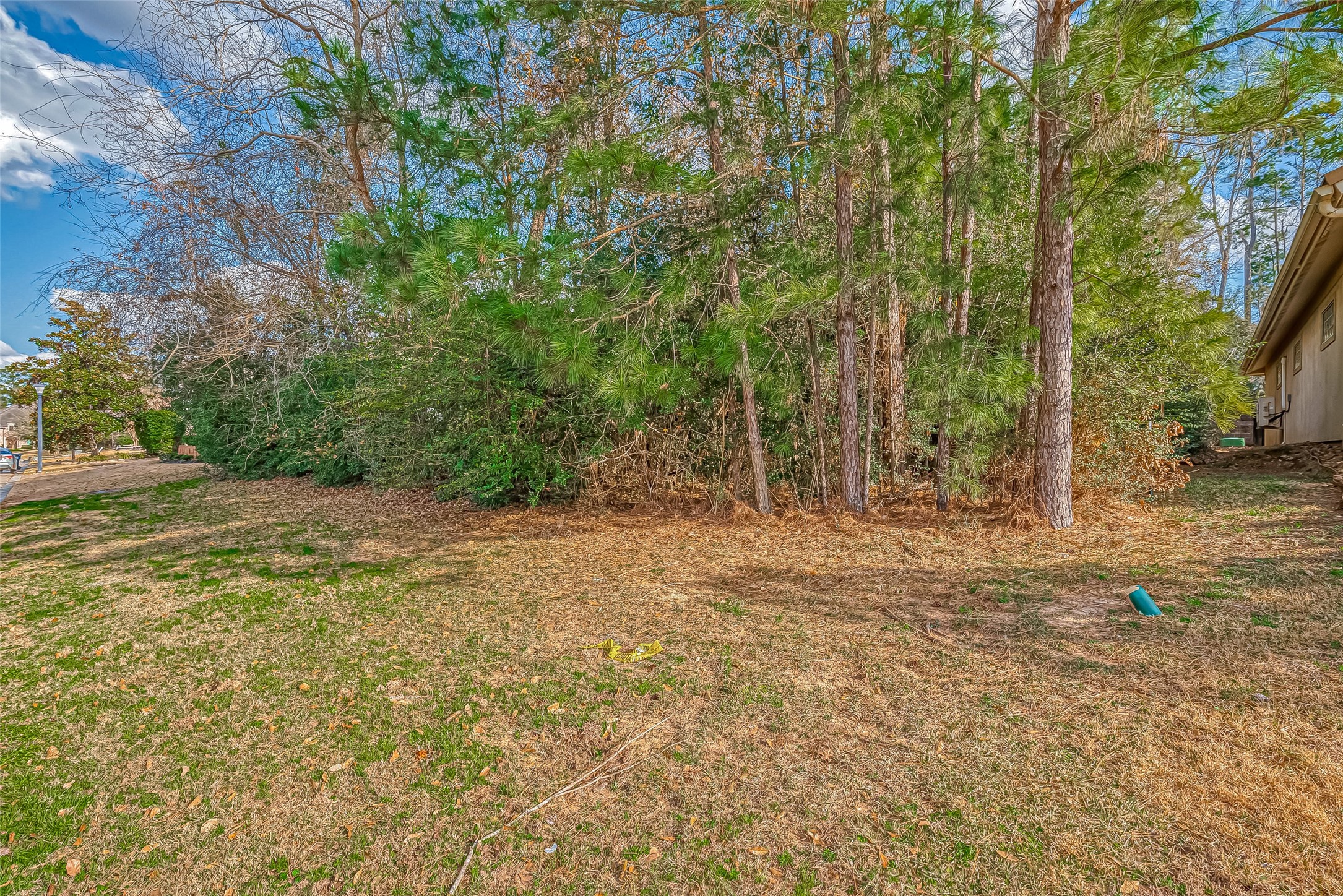 39 Pronghorn Place Spring, TX 77389 - Photo 20 of 39 a view of backyard with green space