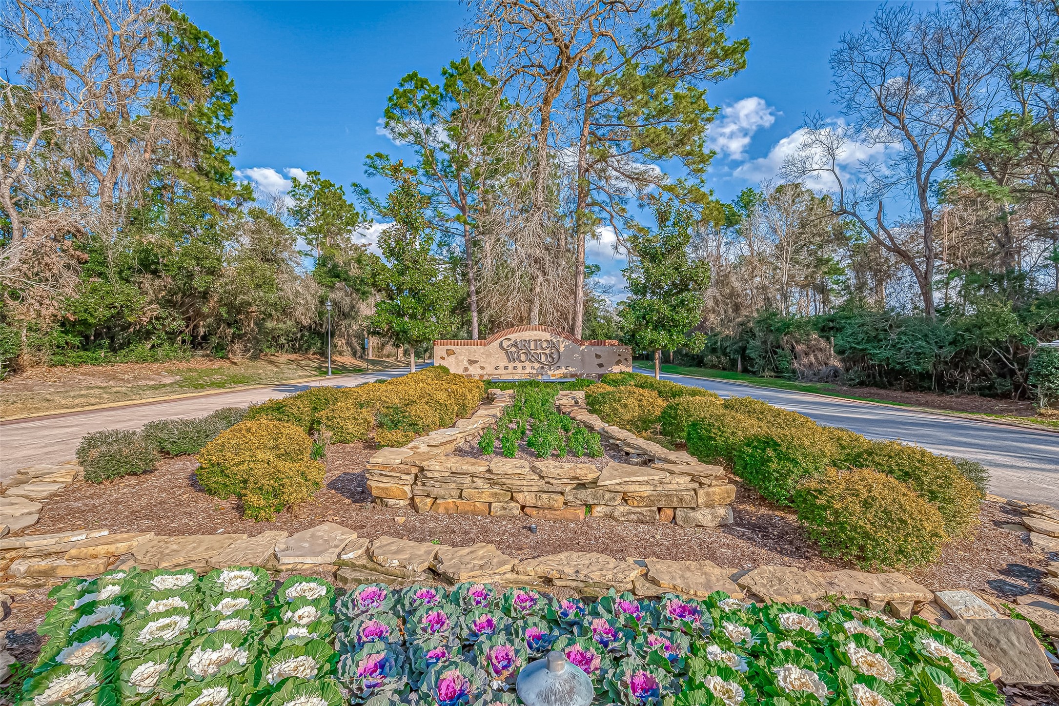 39 Pronghorn Place Spring, TX 77389 - Photo 2 of 39 a view of a park with large trees