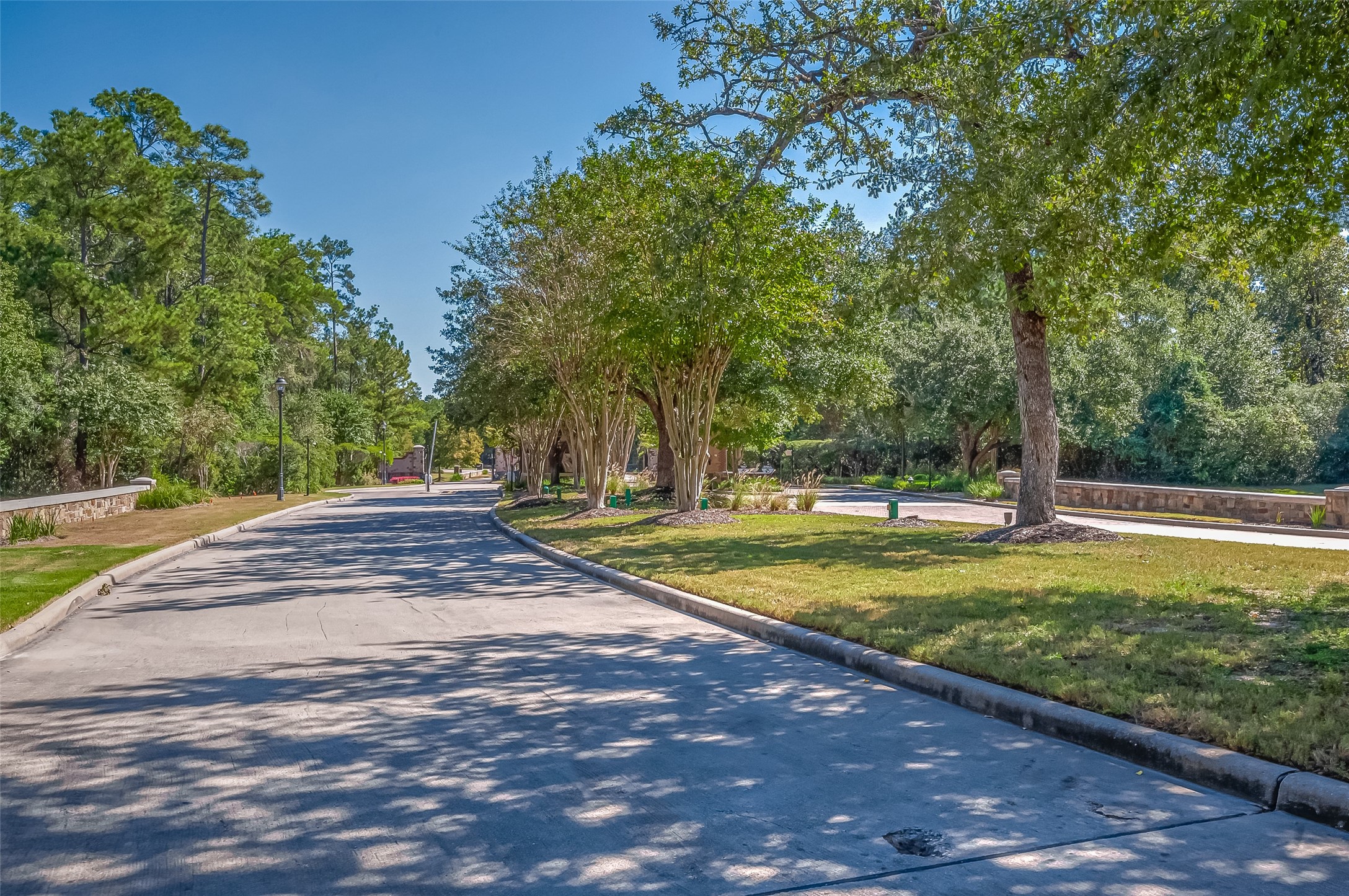 39 Pronghorn Place Spring, TX 77389 - Photo 22 of 39 a view of a yard with large trees