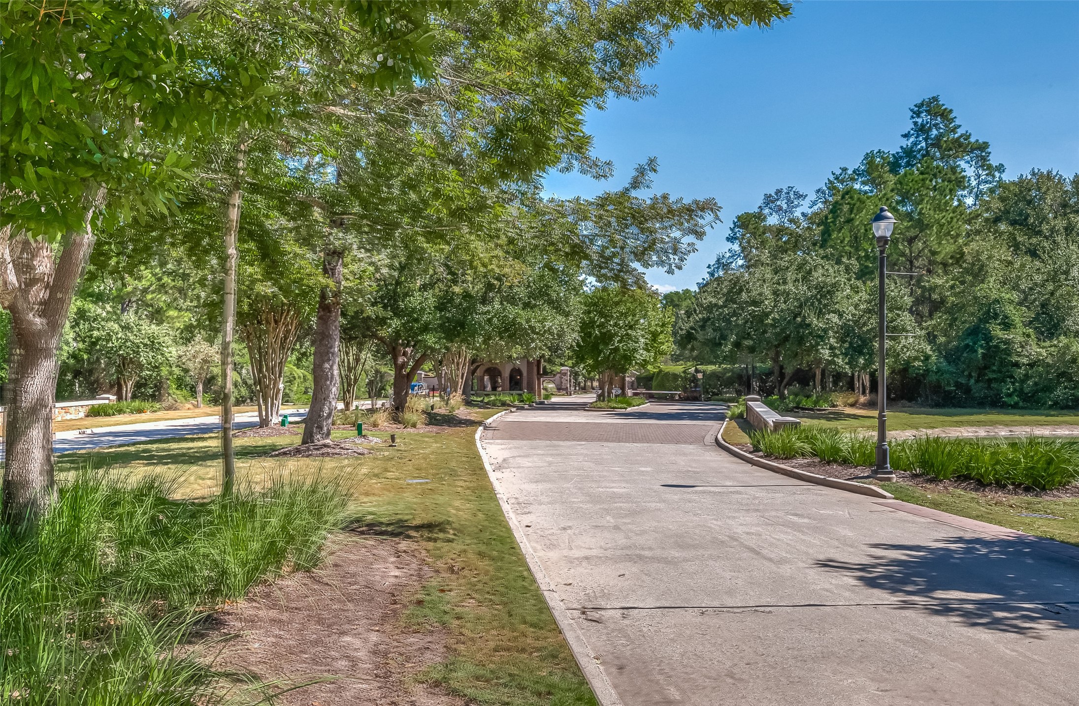 39 Pronghorn Place Spring, TX 77389 - Photo 23 of 39 a park view with large trees
