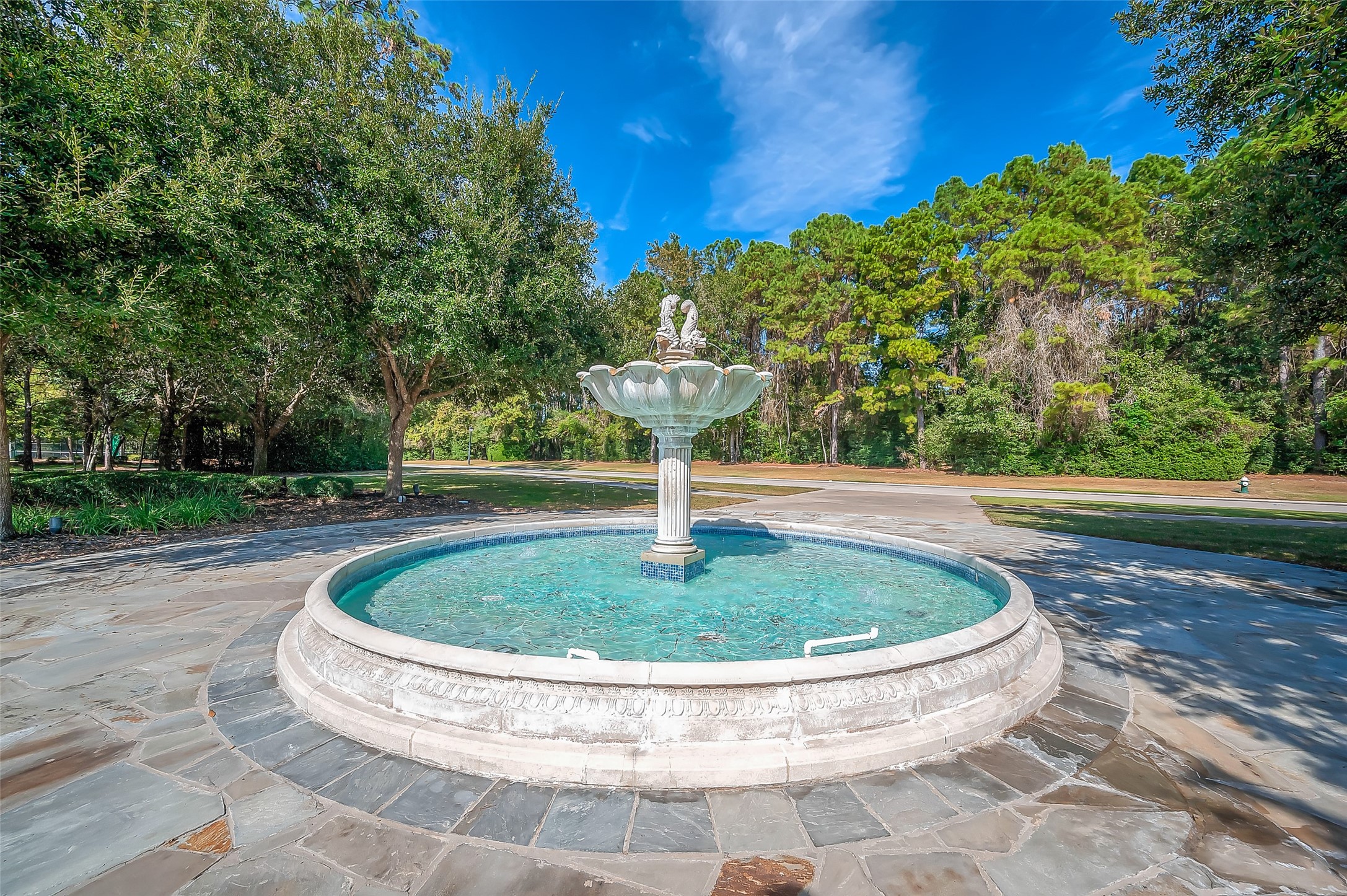 39 Pronghorn Place Spring, TX 77389 - Photo 26 of 39 a view of a swimming pool with a yard