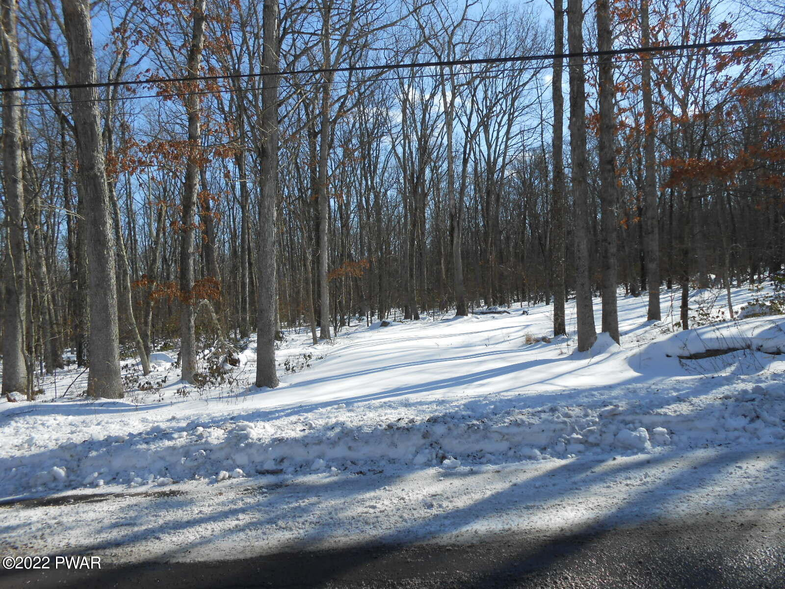 Market Road Greeley, PA 18425 - Photo 4 of 4