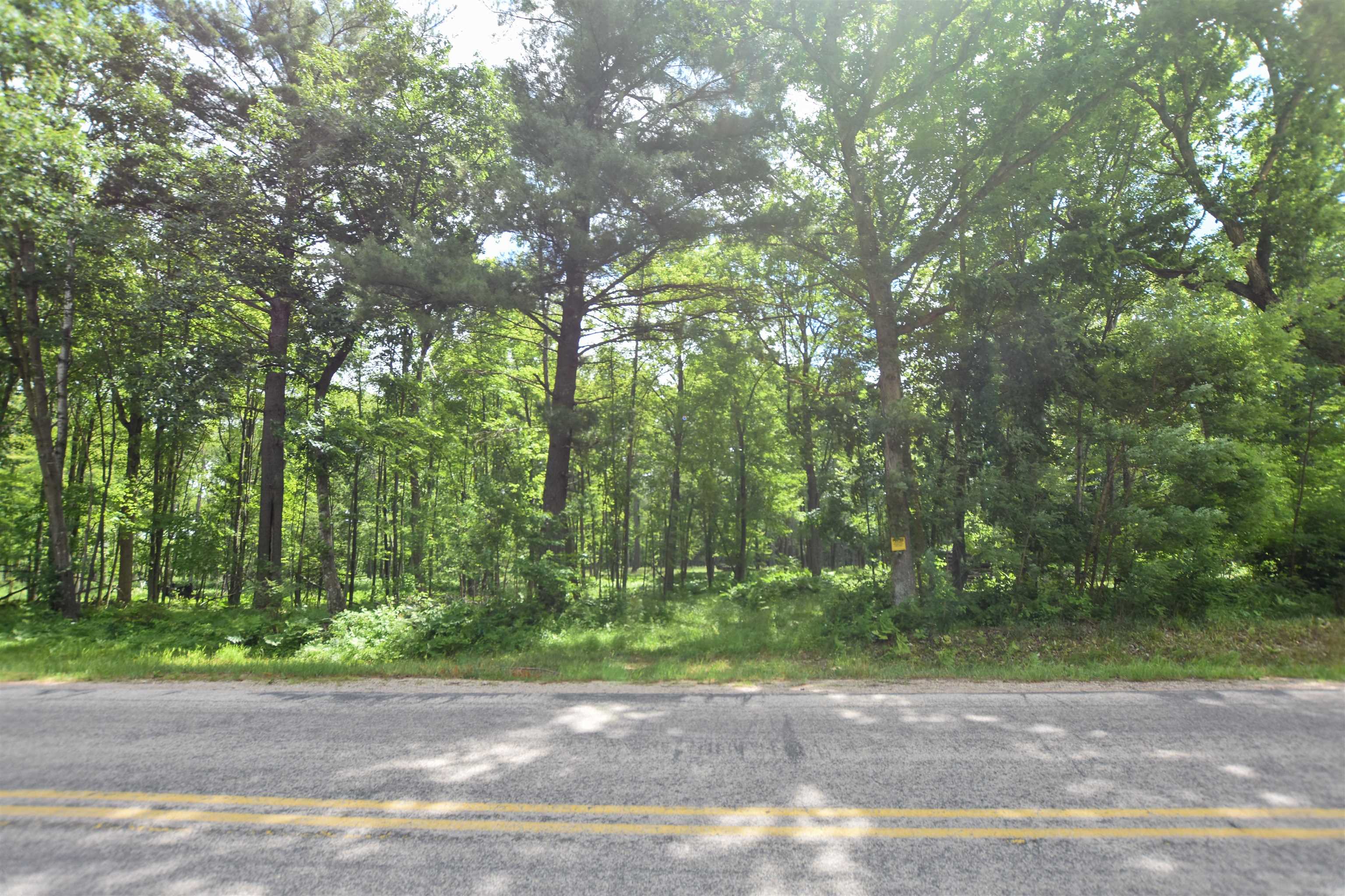 County Road Weyauwega, WI 54983 - Photo 35 of 72