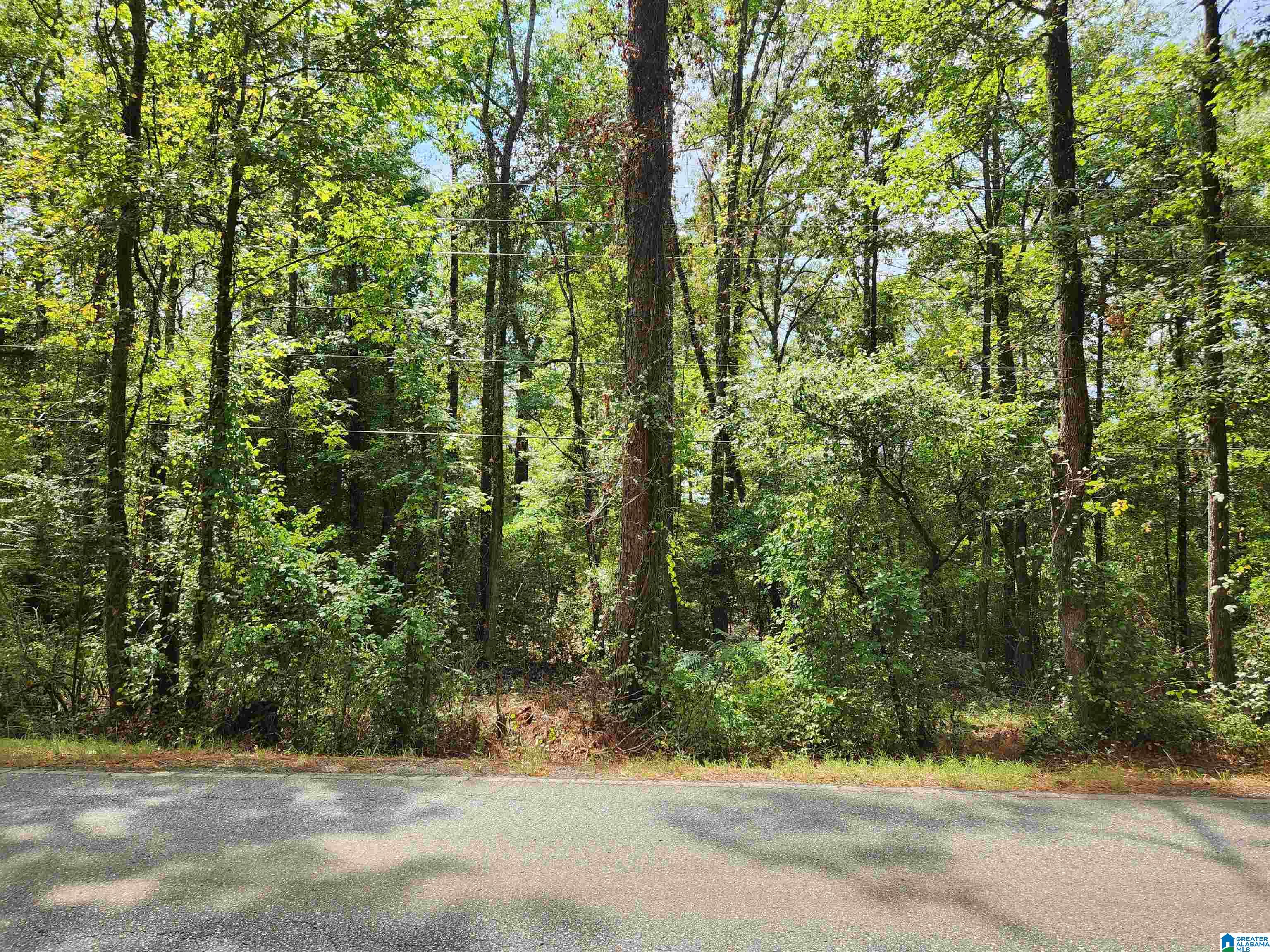 10 West County Road Montevallo, AL 35115 - Photo 3 of 4