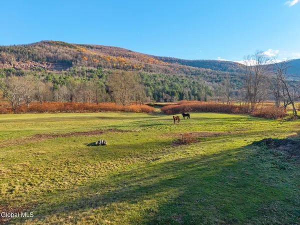 $435,000 | 12295 Highway 23, Ashland, NY 12407