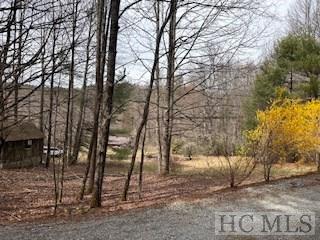 Lot 4 Hive Road Glenville, NC 28736 - Photo 2 of 14 Gallery Image 2