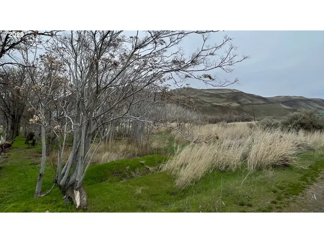a black and white photo of a lake