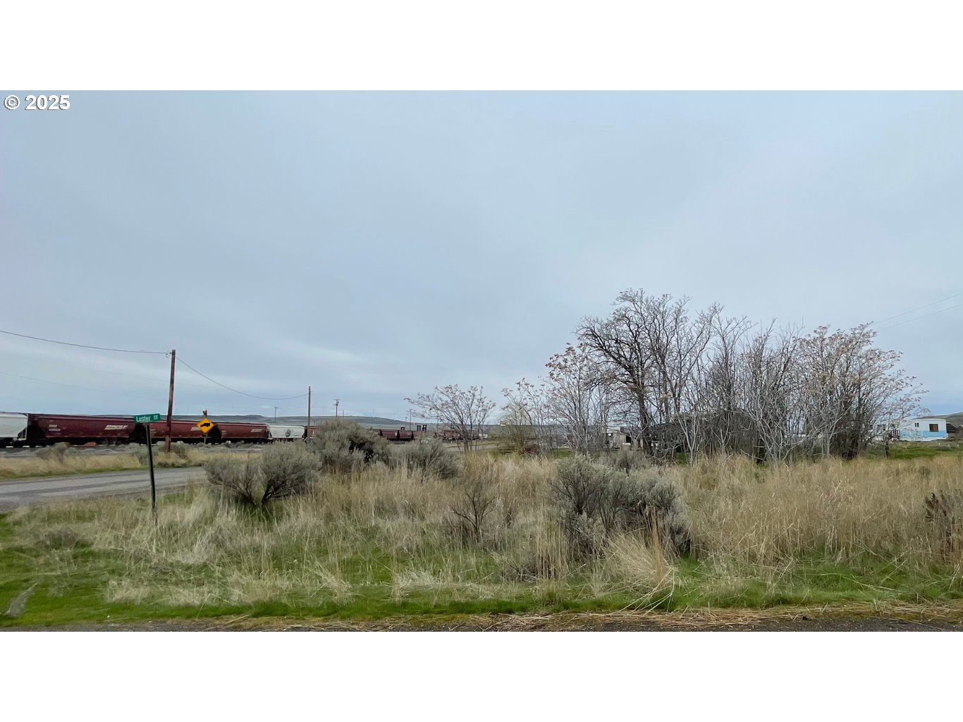 Roosevelt Avenue Roosevelt, WA 99356 - Photo 3 of 7 a black and white photo of a lake