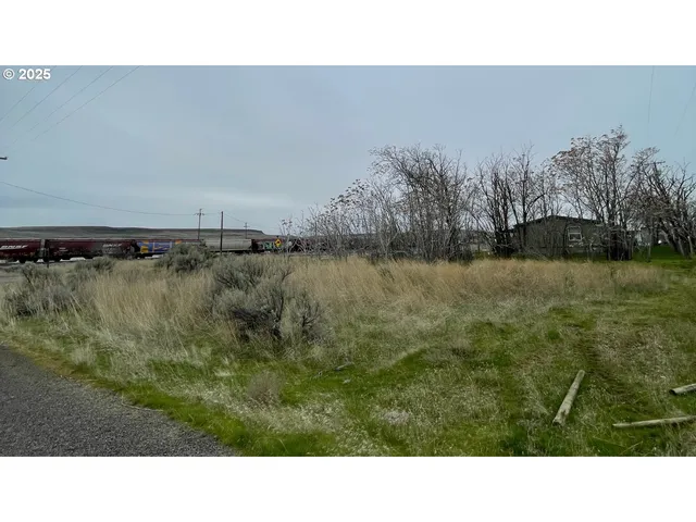 a open area with green field and trees in the background