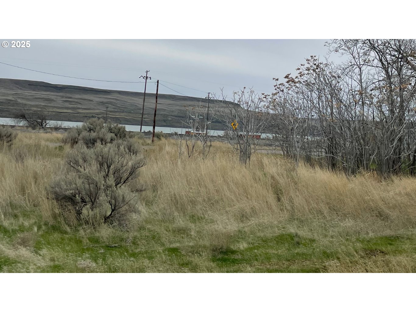 Roosevelt Avenue Roosevelt, WA 99356 - Photo 6 of 7 a black and white photo of a lake