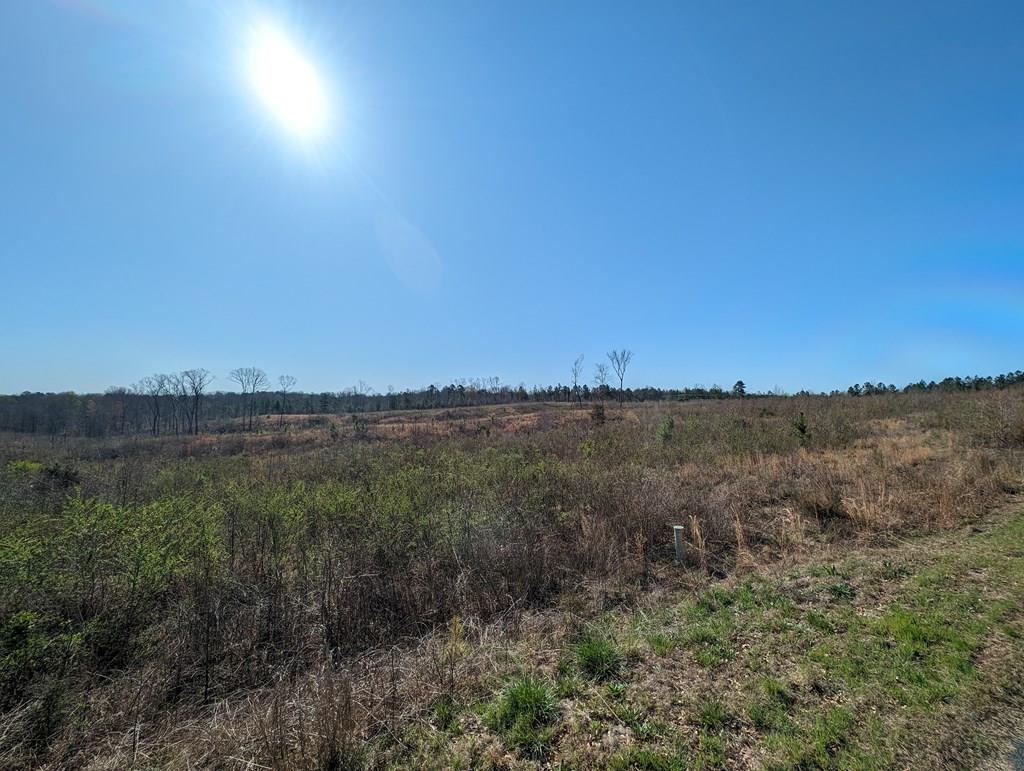 4300 River Fork Road Waterloo, SC 29384 - Photo 1 of 11