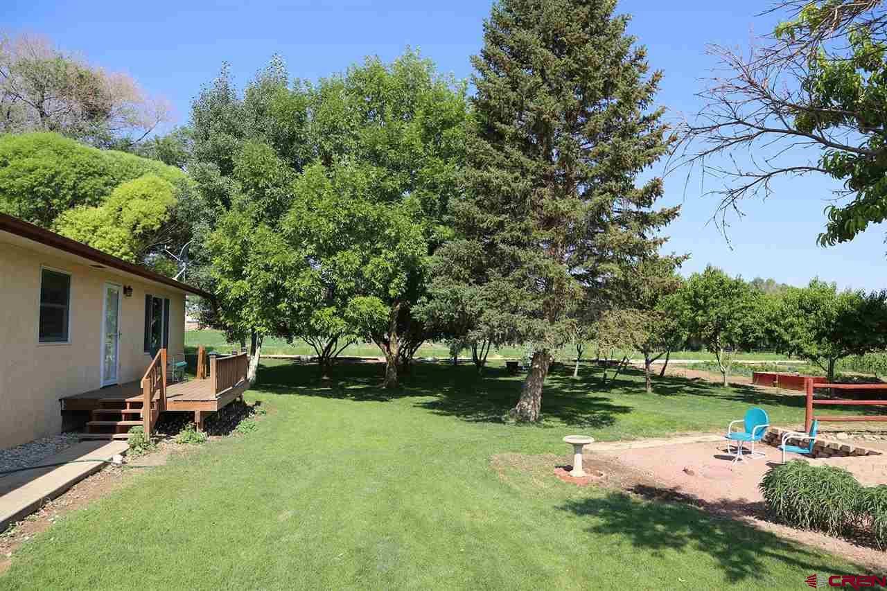 3946 1550 Road Delta, CO 81416 - Photo 3 of 35 a view of a backyard with sitting area