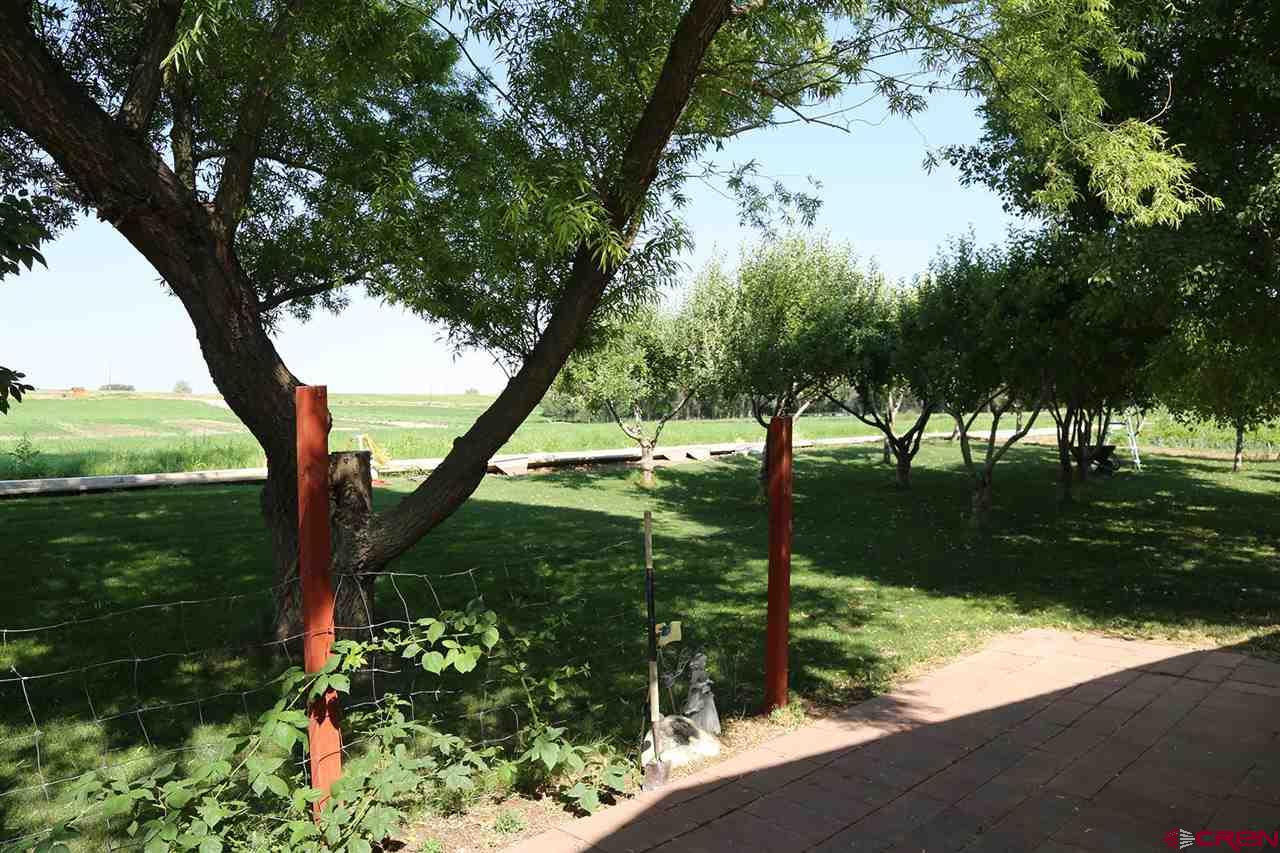 3946 1550 Road Delta, CO 81416 - Photo 28 of 35 a backyard of a house with lots of green space