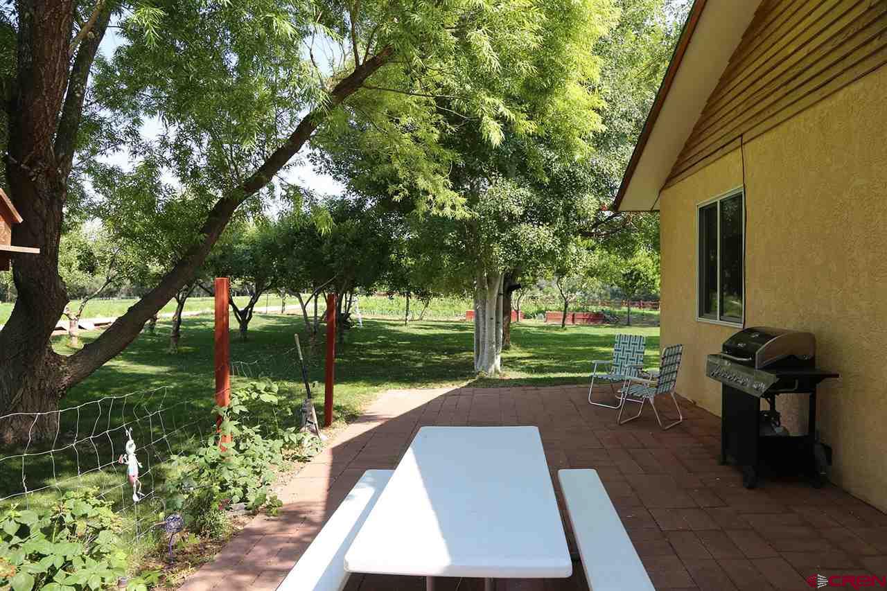 3946 1550 Road Delta, CO 81416 - Photo 4 of 35 a view of a garden with plants and large trees