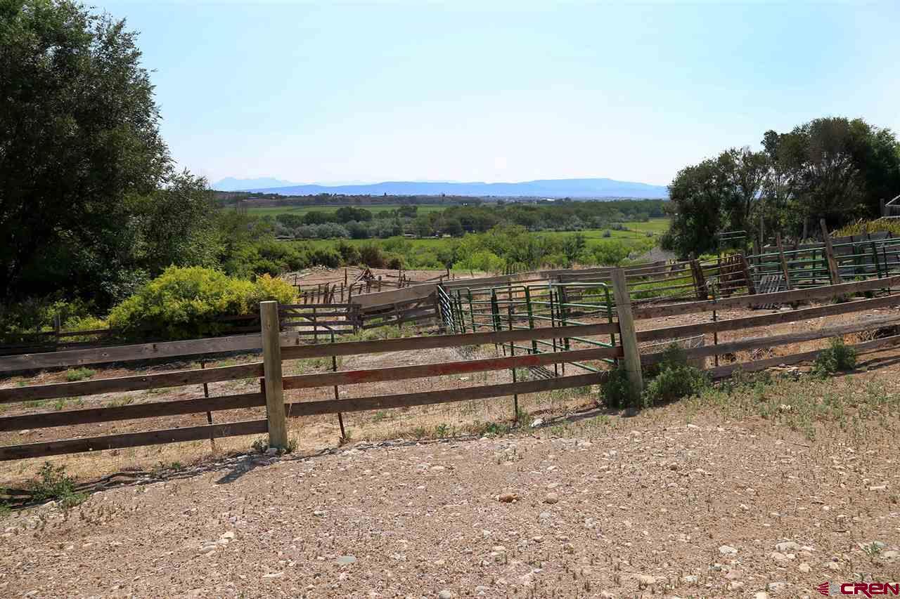 3946 1550 Road Delta, CO 81416 - Photo 31 of 35