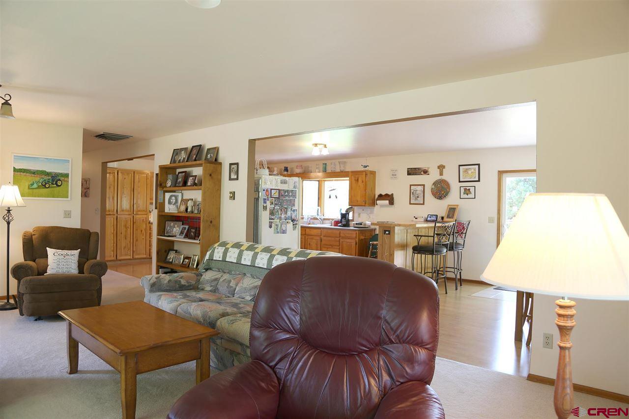 3946 1550 Road Delta, CO 81416 - Photo 7 of 35 a living room with furniture and a lamp