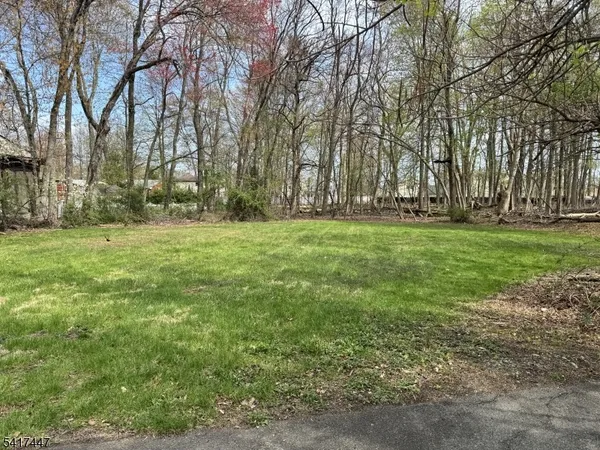 a grassy field with trees in the background
