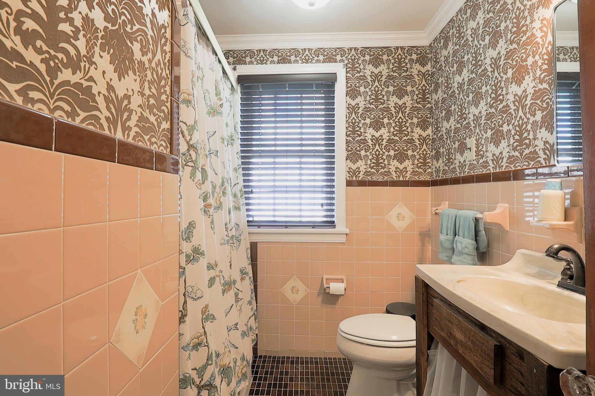 101 Apple Road Newark, DE 19711 - Photo 25 of 47 Hall bathroom main level