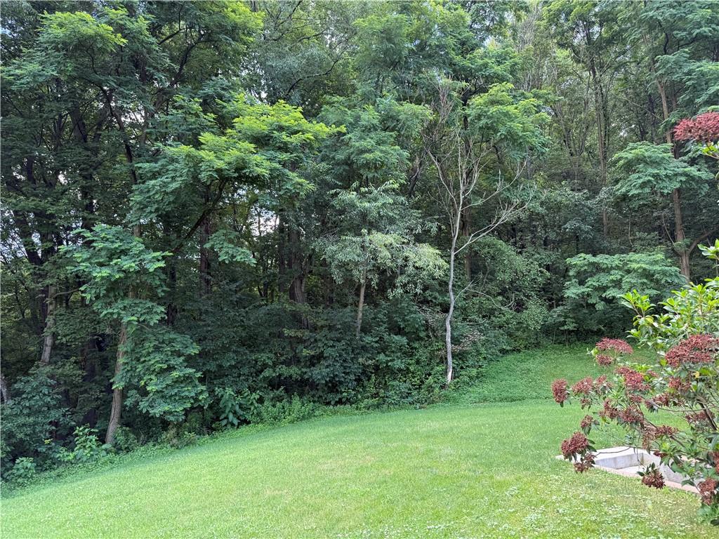 293 Sandy Hill Road Valencia, PA 16059 - Photo 17 of 50 a view of a lush green forest