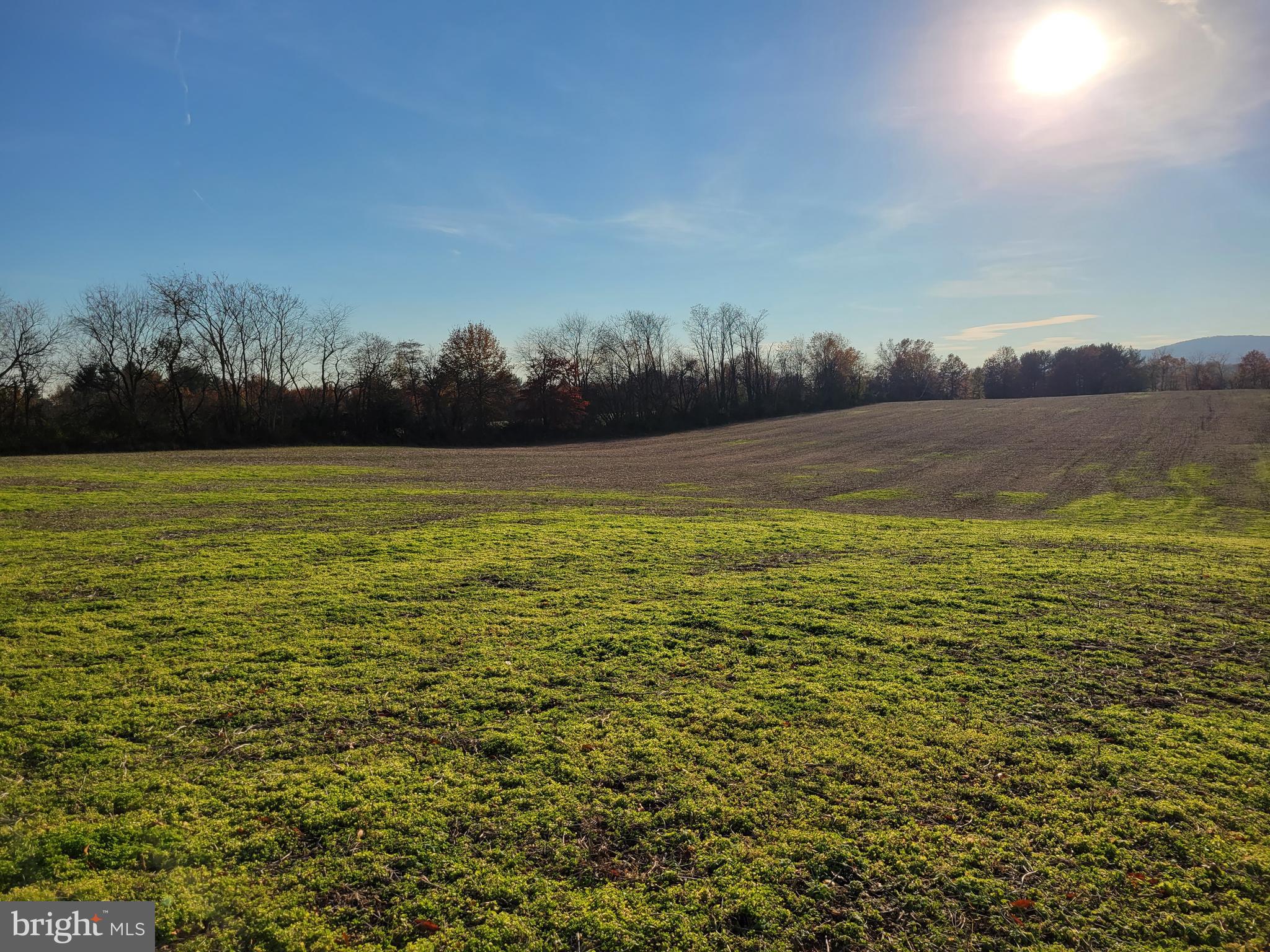 Opossumtown Pike Frederick, MD 21702 - Photo 4 of 5