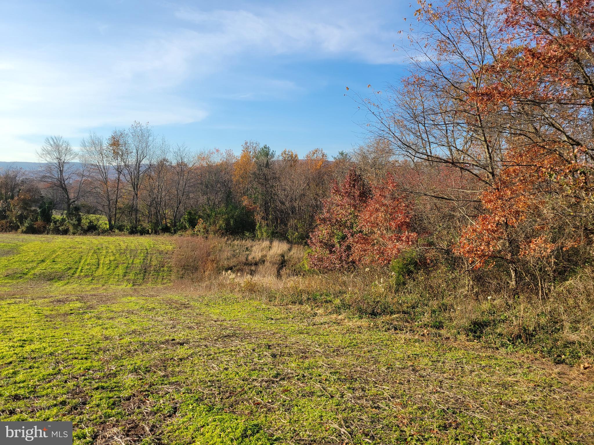 Opossumtown Pike Frederick, MD 21702 - Photo 5 of 5