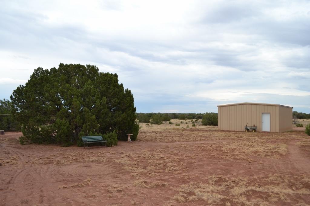 123 County Road Concho, AZ 85924 - Photo 40 of 55