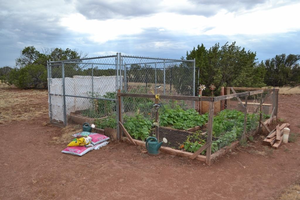 123 County Road Concho, AZ 85924 - Photo 44 of 55