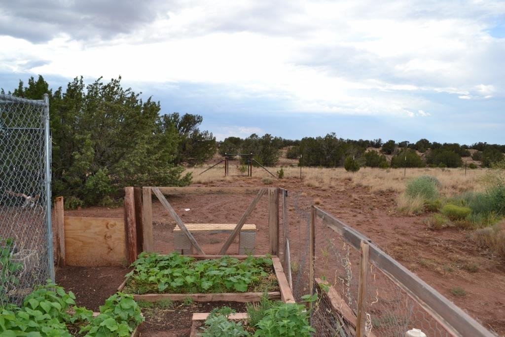 123 County Road Concho, AZ 85924 - Photo 46 of 55
