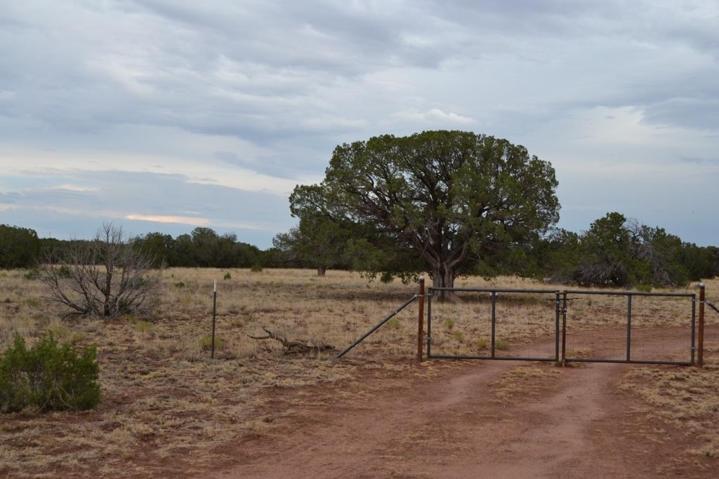 123 County Road Concho, AZ 85924 - Photo 49 of 55